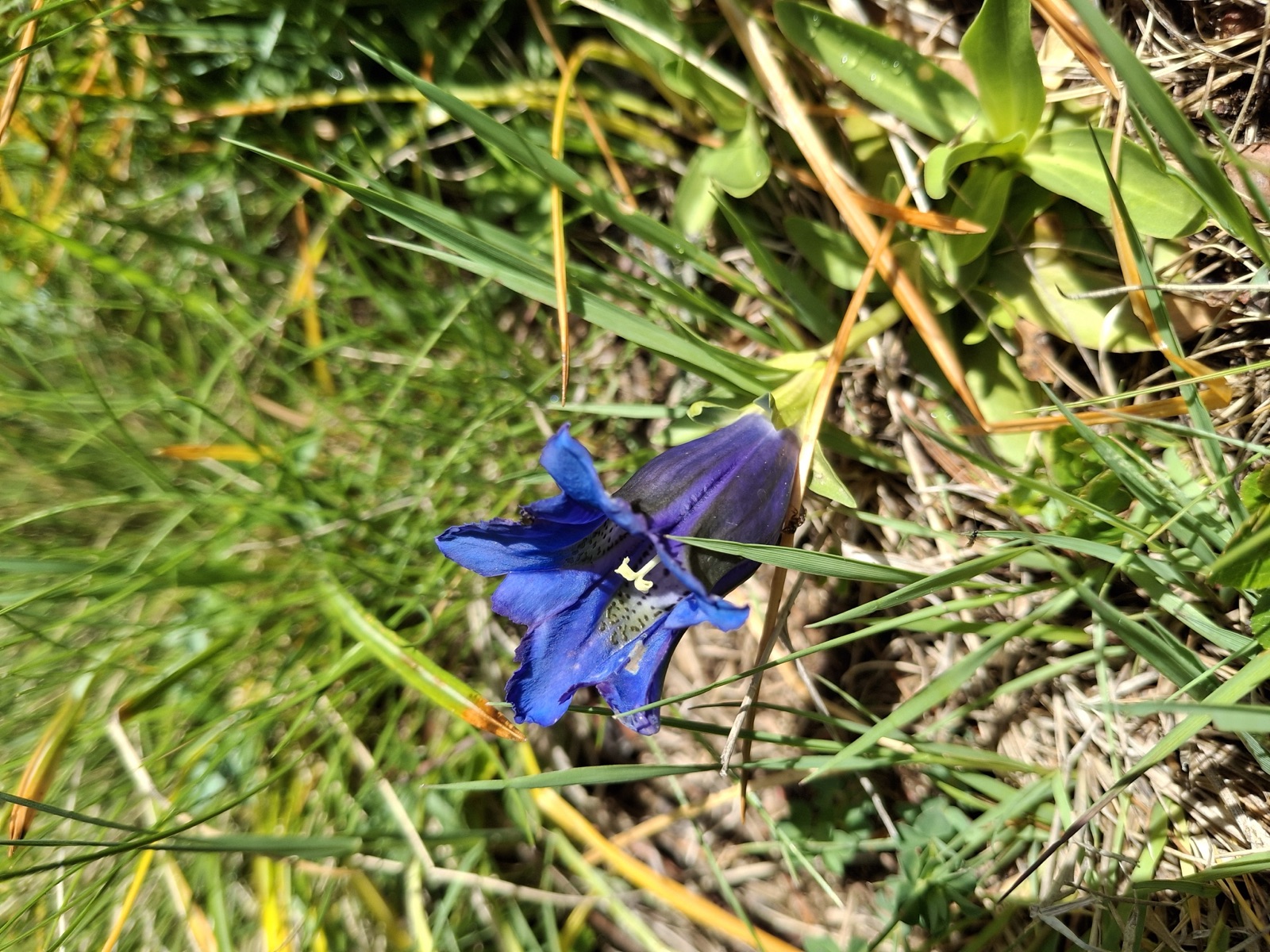 Piller Moor Runde